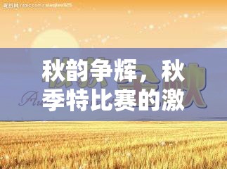 秋韵争辉，秋季特比赛的激情与收获